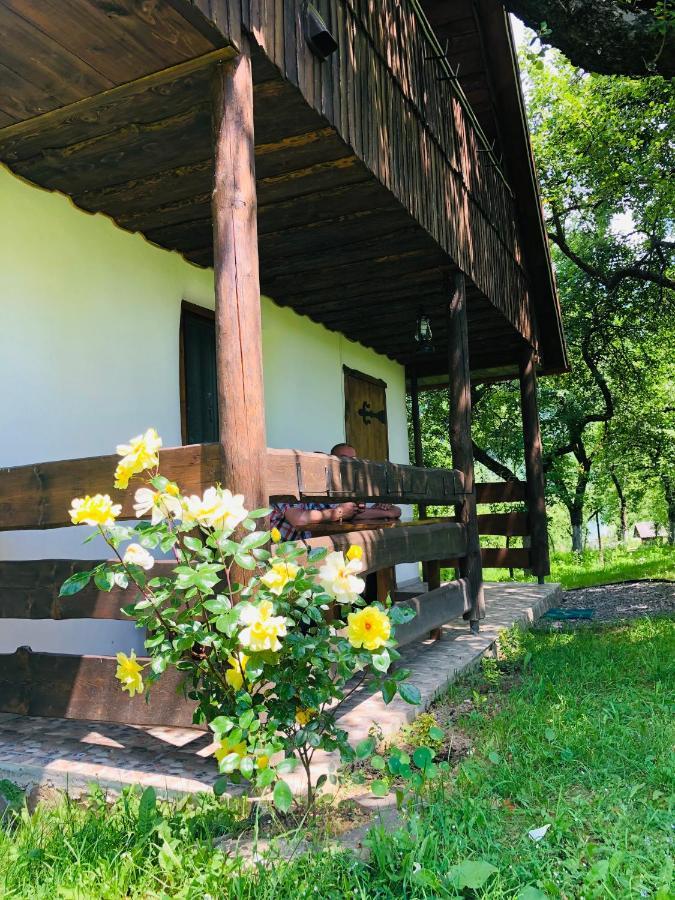 Еко Дім З Соломи Villa nghỉ mát nghỉ mát Solochin Ngoại thất bức ảnh
